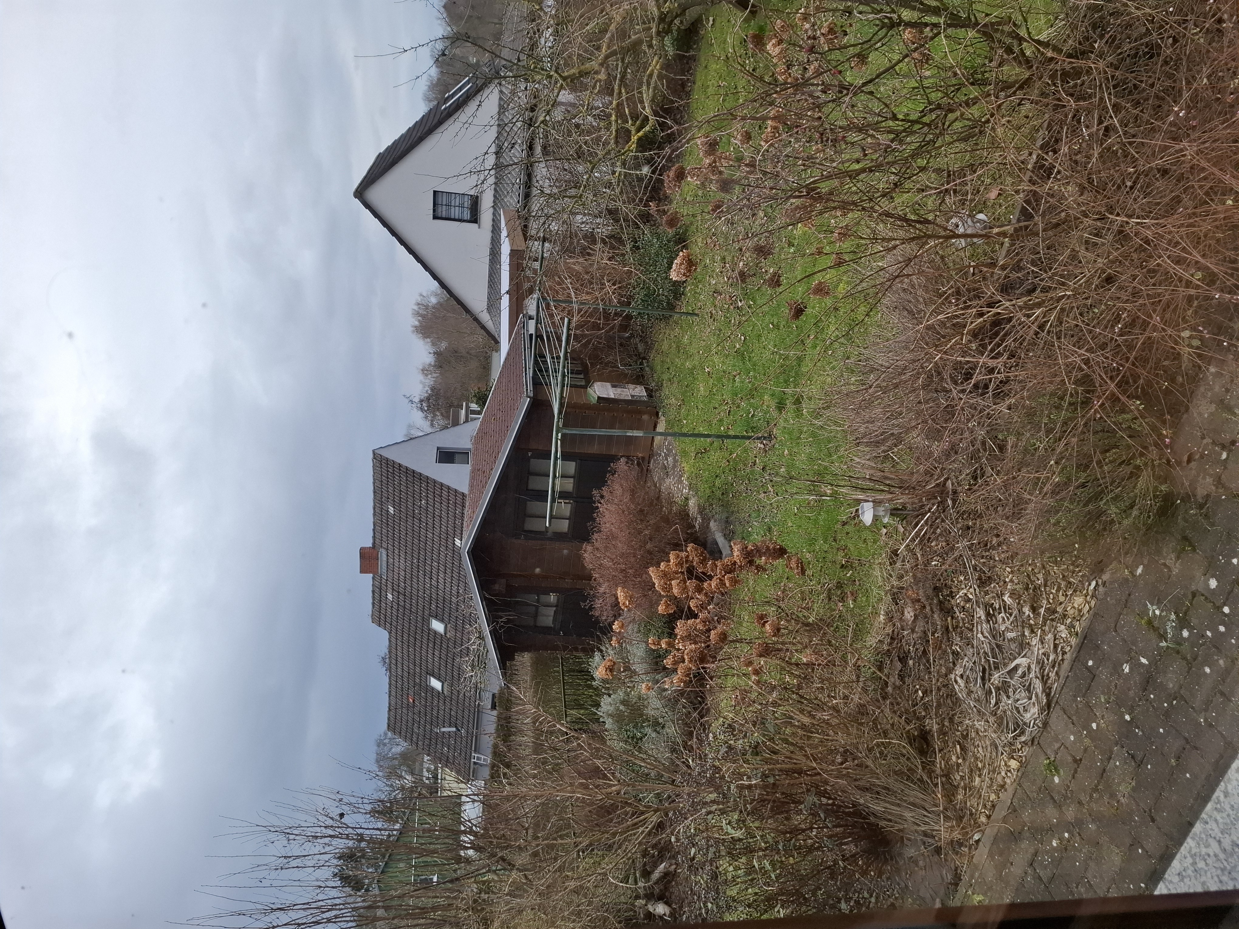 Garten2.jpg